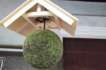 日本酒ライフに彩りを！杉玉直径40cm。自宅やお店のインテリアに。【67