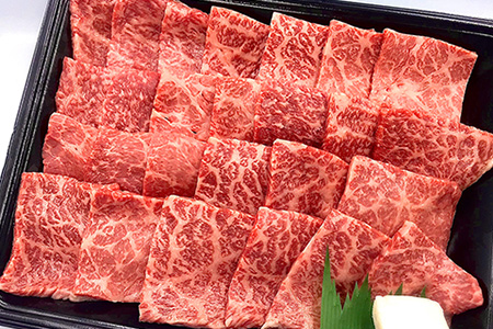 【年内順次発送】菊の井 飛騨牛モモ焼肉 500g（4～5人前）赤身 牛肉 国産 もも 焼き肉 年内配送 年内発送 年内に届く 年内お届け【70-4n】【冷凍】