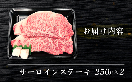 飛騨牛サーロインステーキ  250g×2 【70-12】