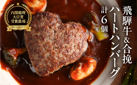 飛騨牛ハートハンバーグ・合挽ハートハンバーグセット（各3個・計6個）【22-13】