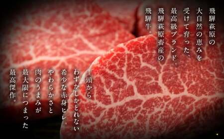 飛騨牛ヒレステーキ （120g×3枚）【22-18】