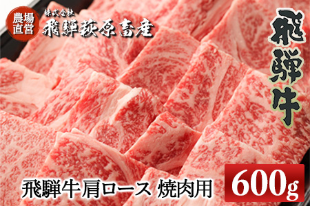 【年内順次発送】飛騨牛肩ロース  600g（焼肉用）牛肉 国産 ブランド牛 年内配送 年内発送 年内に届く 年内お届け【22-19【1】n】【冷凍】