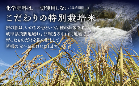 【新米予約受付】銀の朏【定期便】 5kg×12回【2024年産米】≪テレビで紹介!!幻の米≫ 皇室献上米 化学肥料不使用 いのちの壱 5キロ×12か月（計 60キロ）定期 精米 お米 令和6年産 銀のみかづき ぎんのみかづき （隔月 や 配送月が選べる）【13-24】