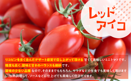 先行予約 ≪期間限定≫（2026年7月中旬頃から順次発送） 産地直送！飛騨下呂のレッドアイコ 1kg【27-3】