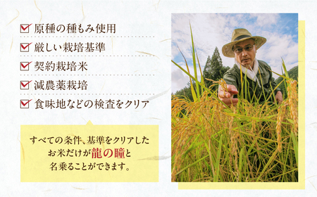 新米予約受付【2024年産米】2kg×1 飛騨産・龍の瞳(いのちの壱) 株式会社龍の瞳直送 米 2キロ 令和6年産 精米 ブランド米 りゅうのひとみ 龍の瞳【14-1】