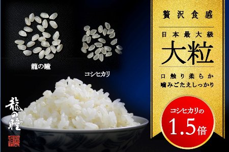 2022年産米・祝！全国コンテスト２冠獲得】3kg×1飛騨産・龍の瞳