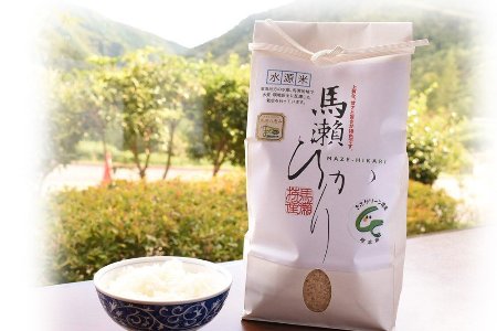 【2024年産米】水源米 馬瀬ひかり (2kg×2袋) まぜひかり コシヒカリ 馬瀬 特産米 米 精米 地域限定 精米 米 こしひかり 下呂市【18-11】