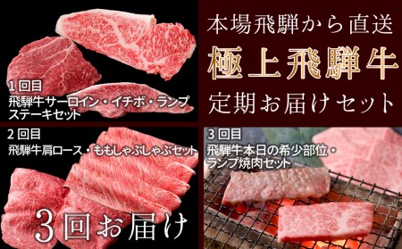 定期便３回】本場！飛騨直送！！極上飛騨牛セット【冷凍】 焼肉