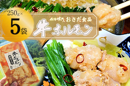 【飛騨 味職人】牛ホルモン 網焼き用（250g×5袋）【57-16】