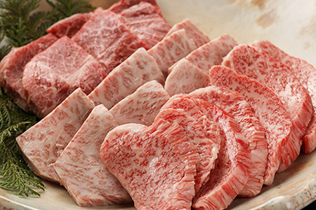 飛騨牛 希少部位焼肉セット 計450g（トモサンカク 150g・ミスジ 150g・イチボ 150g）【22-28】