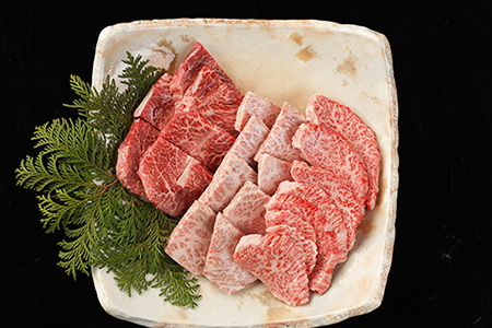 飛騨牛 希少部位焼肉セット 計450g（トモサンカク 150g・ミスジ 150g・イチボ 150g）【22-28】