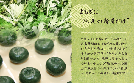 先行予約【期間限定】春の名物!! あねかえし 20個入り（2025年5月中旬～6月下旬頃発送）【87-1】