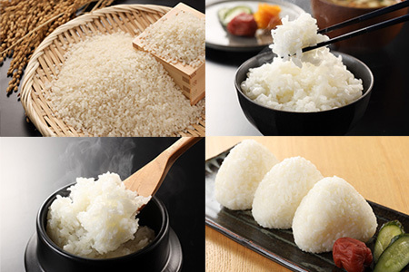 幻のお米『いのちの壱』 岐阜県産 新米 玄米 ３０kg 送料無料-