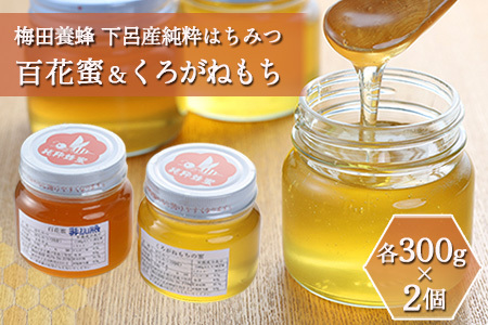 国産百花蜂蜜1200g×3と300g×2 - 調味料