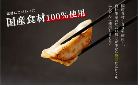 発芽にんにく餃子30個入り3パック　餃子 にんにく にんにくたっぷり 国産にんにく 発芽にんにく 冷凍 臭わない 栄養価抜群 スタミナ 免疫アップ おつまみ おかず 総菜 餃子専門店 ぎょうざ 工場直売 大量 まとめ買い