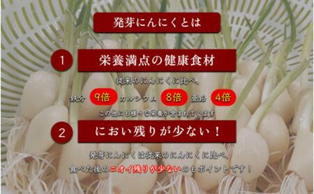 発芽にんにく餃子30個入り3パック　餃子 にんにく にんにくたっぷり 国産にんにく 発芽にんにく 冷凍 臭わない 栄養価抜群 スタミナ 免疫アップ おつまみ おかず 総菜 餃子専門店 ぎょうざ 工場直売 大量 まとめ買い