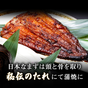 日本なまず蒲焼・川魚の晩酌セット