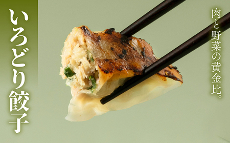 黒豚の特選肉餃子!いろどり餃子80個セット