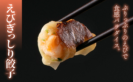 海老を詰め込んだえびぎっしり餃子45個セット