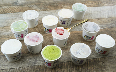 オリジナル ジェラート アイス 12個 セット 9種 アイスクリーム