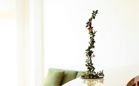 アイアン雑貨・アクセサリースタンド 日用品 