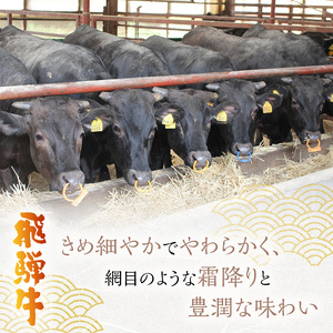 岐阜県海津市産　飛騨牛シャトーブリアン(150g×4枚)