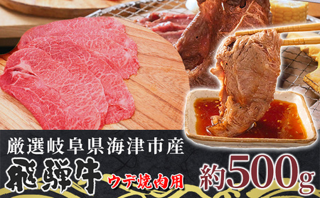 【飛騨牛】海津市産ウデ焼肉オリジナルカット 【配達不可：離島】