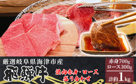 【飛騨牛】海津市産焼肉赤身・ロース盛り合わせオリジナルカット 【配達不可:離島】