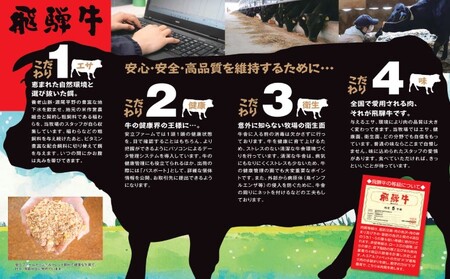 【数量限定】【飛騨牛】海津市産焼肉希少部位3種盛り合わせオリジナルカット 【配達不可：離島】