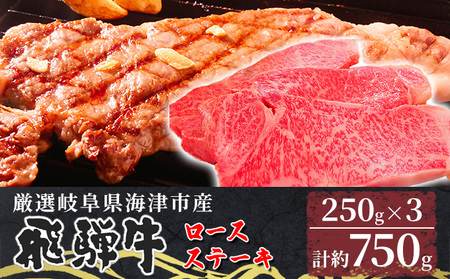 【飛騨牛】海津市産ロースステーキ250g×3 【配達不可:離島】