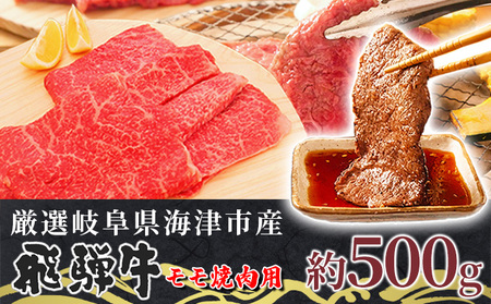 【飛騨牛】海津市産モモ焼肉オリジナルカット 【配達不可:離島】