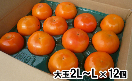 高糖度富有柿 大玉2L~3Lサイズ×12個入
