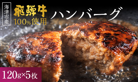 海津市産【飛騨牛】ハンバーグ5枚(オリジナルソース付)藤太 冷凍 小分け はんばーぐ 肉 洋食 簡単調理 人気 子供 手軽 ギフト 贈り物 和牛 国産