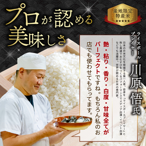 東川米 ななつぼし「白米」 5kg（2025年4月下旬より発送予定）