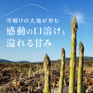 【大坪農園】≪2026年 先行予約≫ 春の恵み　北海道東川町産アスパラガス　2Lサイズ　1㎏