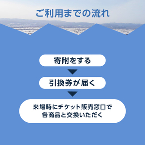 キャンモアスキービレッジ 大人1日券