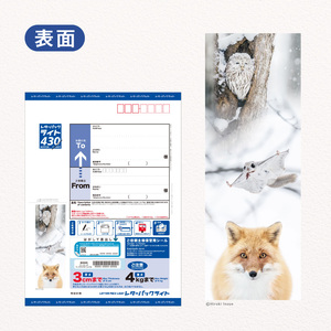 東川町オリジナルレターパックライト