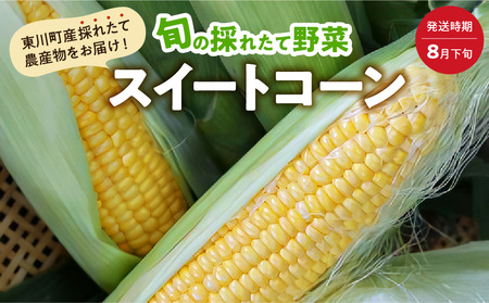 【8月下旬より順次発送】旬の採れたて野菜「スイートコーンセット」