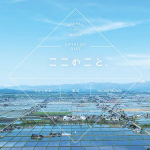 (21001502)ココ企画 体験型カタログギフト「ここのこと。」