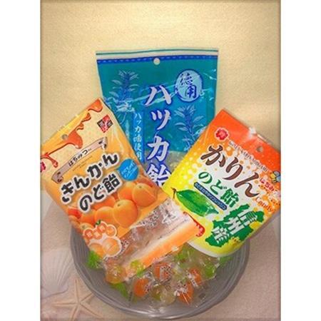 のど飴詰め合わせ30袋セット かりんのど飴100g きんかんのど飴95g ハッカ飴155g各10袋 岐阜県岐南町 ふるさと納税サイト ふるなび