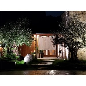 千年オリーブ ふるさと納税限定 シェフのおまかせ柳コース ペアチケット【1138959】