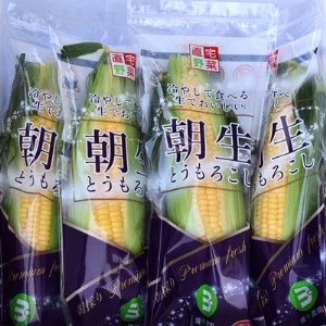 備中農園 朝生とうもろこし 6本セット【1140095】