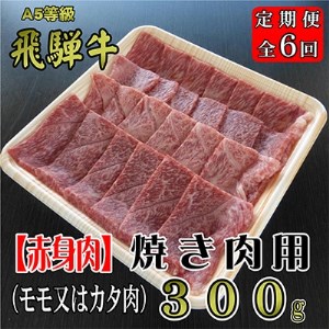 2022年12月発送開始『定期便』A5等級飛騨牛【赤身肉】焼き肉用約300g全6回【5102475】