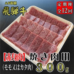 2022年12月発送開始『定期便』A5等級飛騨牛【赤身肉】焼き肉用約300g全12回【5102481】