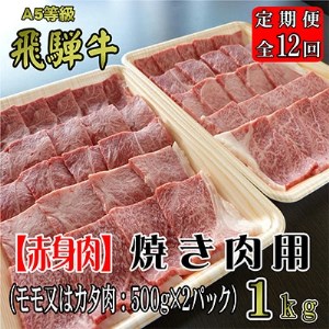 2022年12月発送開始『定期便』A5等級飛騨牛【赤身肉】焼き肉用約1kg全12回【5102511】