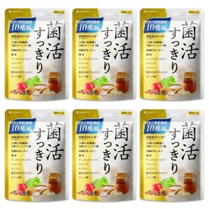 乳酸菌サプリメント ナノ型乳酸菌10兆個＆ビフィズス菌配合 菌活