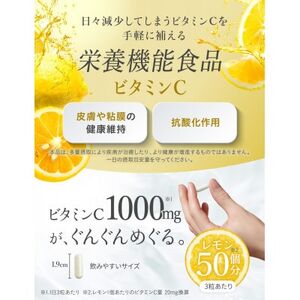 ビタミンCサプリメント ILUS リポソームビタミンC配合 ビタミンC1,000mg 3袋 3ヶ月分【1495282】