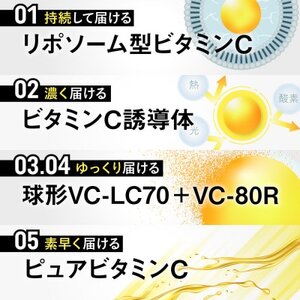 ビタミンCサプリメント ビタクリアC リポソームビタミンC配合 ビタミンC1,000mg 6袋セット【1495310】