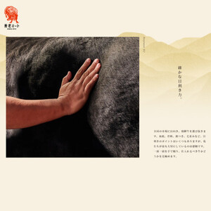 【ふるなびWEEK対象】飛騨牛 ロースまたは肩ロース360g×2Pニ720g (すき焼き・しゃぶしゃぶ用)FN-Limited-PR【配送不可地域：離島】【1042665】