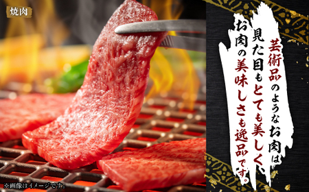 飛騨牛5等級 ミスジ・三角バラ 焼肉用 500g【配送不可地域:離島・北海道・沖縄県】【1043501】